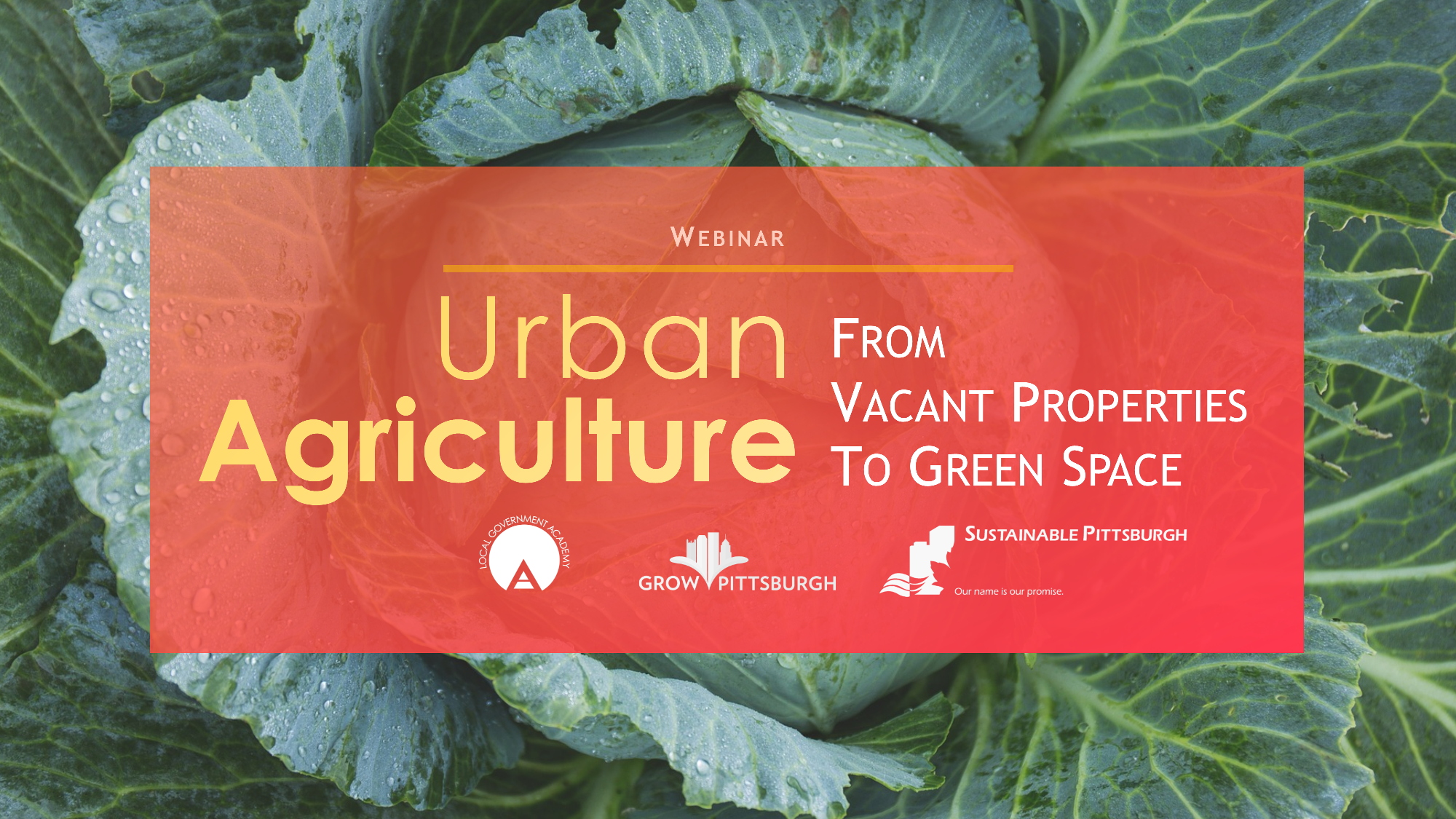 WEBINAR Urban Agriculture From Vacant Properties to Green Space